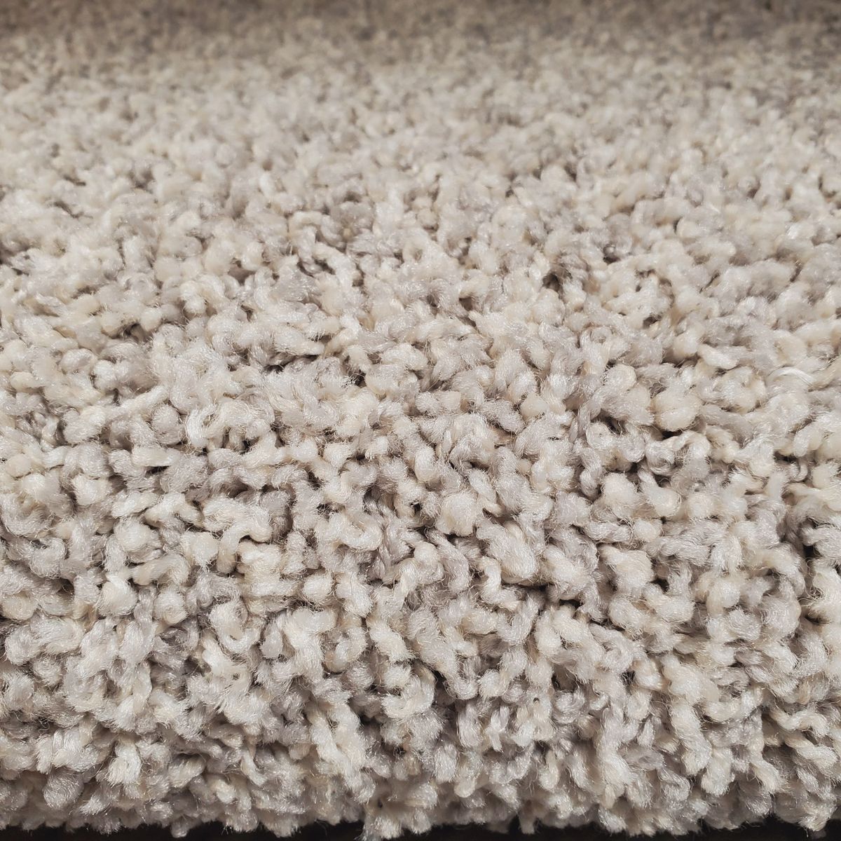 Mohawk Carpet! StyleMedalist and Pet Protect 8lb Pad w/Moisture